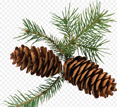 Franklin Garden Club